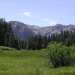 Meadow near Devil's Postpile